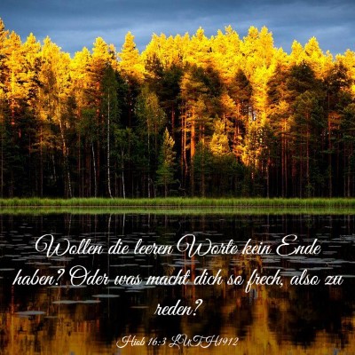 Picture 03 - Hiob 16:3 LUTH1912 - Wollen die leeren Worte kein Ende haben? Oder was - Bible Verse Picture