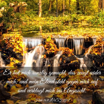 Picture 03 - Hiob 16:8 LUTH1912 - Er hat mich runzlig gemacht, das zeugt wider - Bible Verse Picture