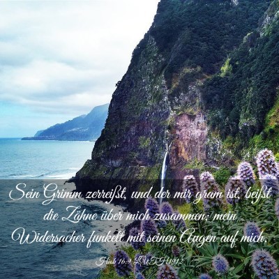 Picture 03 - Hiob 16:9 LUTH1912 - Sein Grimm zerreißt, und der mir gram ist, - Bible Verse Picture