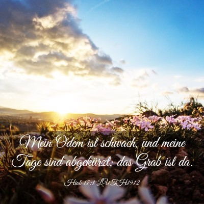 Picture 03 - Hiob 17:1 LUTH1912 - Mein Odem ist schwach, und meine Tage sind - Bible Verse Picture