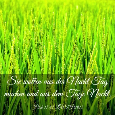 Picture 03 - Hiob 17:12 LUTH1912 - Sie wollen aus der Nacht Tag machen und aus dem - Bible Verse Picture