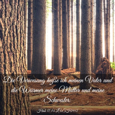 Picture 03 - Hiob 17:14 LUTH1912 - Die Verwesung heiße ich meinen Vater und die - Bible Verse Picture