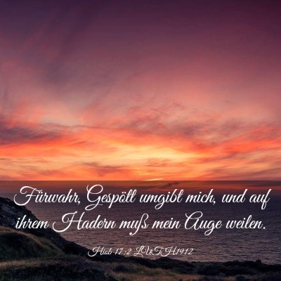 Picture 03 - Hiob 17:2 LUTH1912 - Fürwahr, Gespött umgibt mich, und auf ihrem - Bible Verse Picture