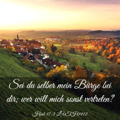 Picture 03 - Hiob 17:3 LUTH1912 - Sei du selber mein Bürge bei dir; wer will mich - Bible Verse Picture