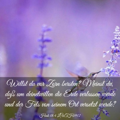 Picture 03 - Hiob 18:4 LUTH1912 - Willst du vor Zorn bersten? Meinst du, daß um - Bible Verse Picture