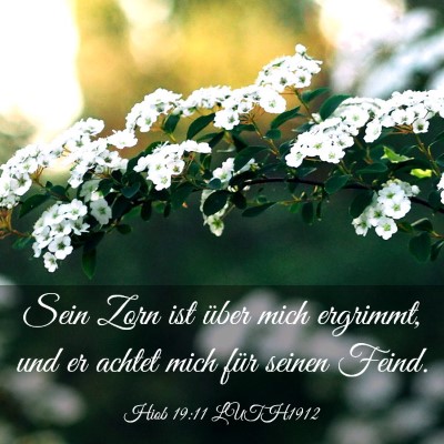 Picture 03 - Hiob 19:11 LUTH1912 - Sein Zorn ist über mich ergrimmt, und er achtet - Bible Verse Picture