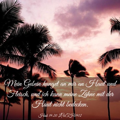 Picture 03 - Hiob 19:20 LUTH1912 - Mein Gebein hanget an mir an Haut und Fleisch, - Bible Verse Picture