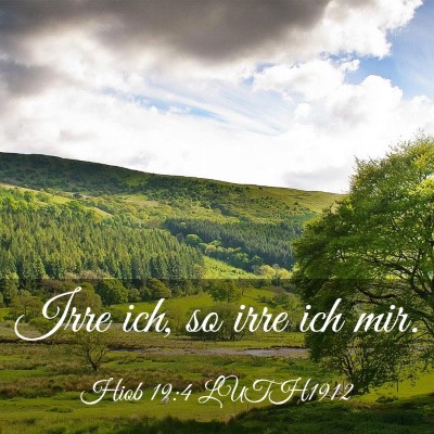 Picture 03 - Hiob 19:4 LUTH1912 - Irre ich, so irre ich - Bible Verse Picture