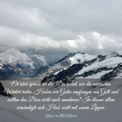 Picture 03 - Hiob 2:10 LUTH1912 - Er aber sprach zu ihr: Du redest, wie die - Bible Verse Picture