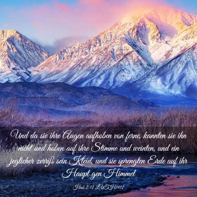 Picture 03 - Hiob 2:12 LUTH1912 - Und da sie ihre Augen aufhoben von ferne, kannten - Bible Verse Picture