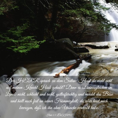 Picture 03 - Hiob 2:3 LUTH1912 - Der HERR sprach zu dem Satan: Hast du nicht acht - Bible Verse Picture