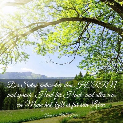 Picture 03 - Hiob 2:4 LUTH1912 - Der Satan antwortete dem HERRN und sprach: Haut - Bible Verse Picture