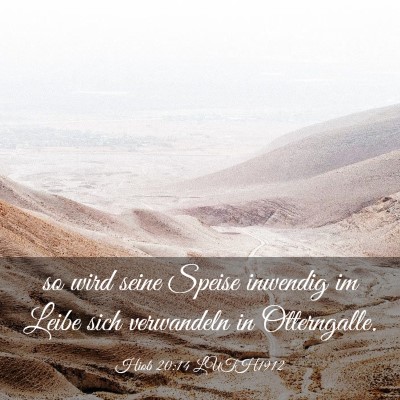 Picture 03 - Hiob 20:14 LUTH1912 - so wird seine Speise inwendig im Leibe sich - Bible Verse Picture