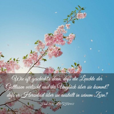 Picture 03 - Hiob 21:17 LUTH1912 - Wie oft geschieht's denn, daß die Leuchte der - Bible Verse Picture