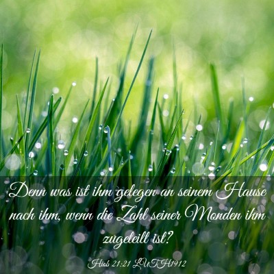 Picture 03 - Hiob 21:21 LUTH1912 - Denn was ist ihm gelegen an seinem Hause nach - Bible Verse Picture