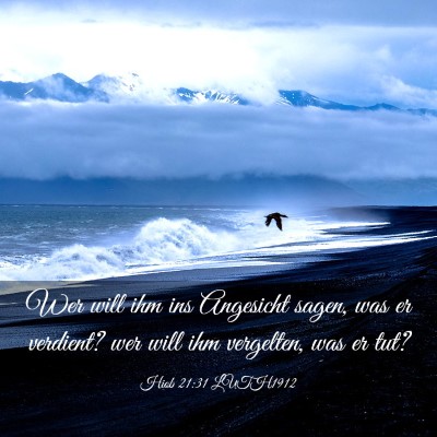 Picture 03 - Hiob 21:31 LUTH1912 - Wer will ihm ins Angesicht sagen, was er - Bible Verse Picture