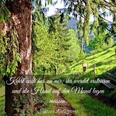 Picture 03 - Hiob 21:5 LUTH1912 - Kehrt euch her zu mir; ihr werdet erstarren und - Bible Verse Picture