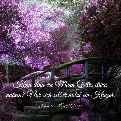 Picture 03 - Hiob 22:2 LUTH1912 - Kann denn ein Mann Gottes etwas nützen? Nur sich - Bible Verse Picture