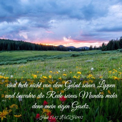 Picture 03 - Hiob 23:12 LUTH1912 - und trete nicht von dem Gebot seiner Lippen und - Bible Verse Picture
