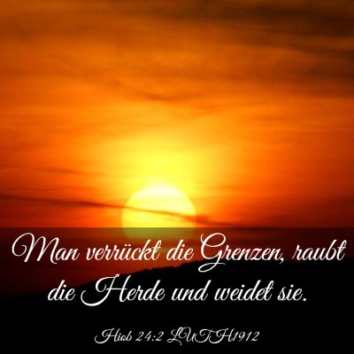 Picture 03 - Hiob 24:2 LUTH1912 - Man verrückt die Grenzen, raubt die Herde und - Bible Verse Picture
