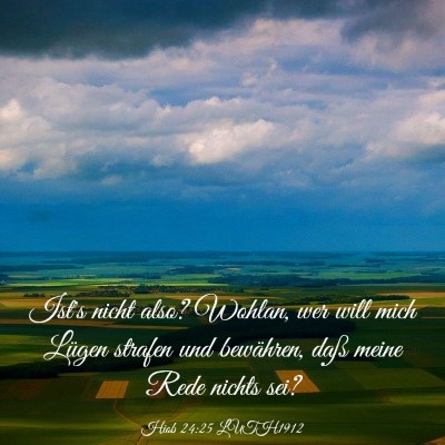 Picture 03 - Hiob 24:25 LUTH1912 - Ist's nicht also? Wohlan, wer will mich Lügen - Bible Verse Picture