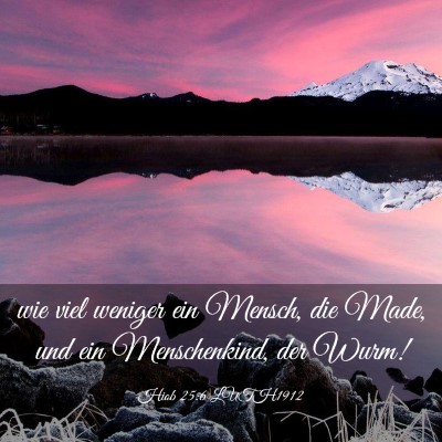 Picture 03 - Hiob 25:6 LUTH1912 - wie viel weniger ein Mensch, die Made, und ein - Bible Verse Picture
