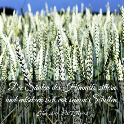 Picture 03 - Hiob 26:11 LUTH1912 - Die Säulen des Himmels zittern und entsetzen - Bible Verse Picture