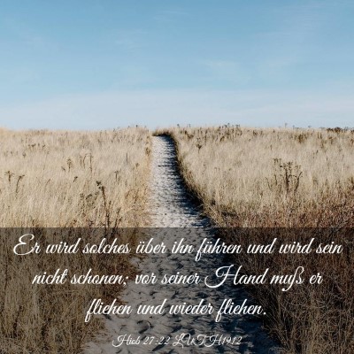 Picture 03 - Hiob 27:22 LUTH1912 - Er wird solches über ihn führen und wird sein - Bible Verse Picture