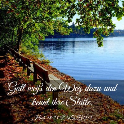 Picture 03 - Hiob 28:23 LUTH1912 - Gott weiß den Weg dazu und kennt ihre - Bible Verse Picture