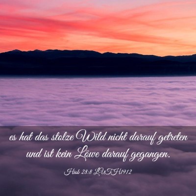 Picture 03 - Hiob 28:8 LUTH1912 - es hat das stolze Wild nicht darauf getreten und - Bible Verse Picture