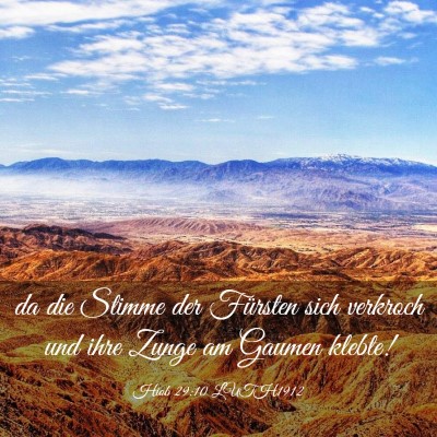 Picture 03 - Hiob 29:10 LUTH1912 - da die Stimme der Fürsten sich verkroch und ihre - Bible Verse Picture