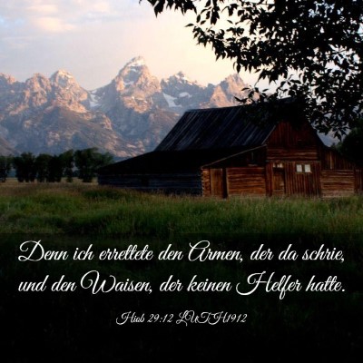 Picture 03 - Hiob 29:12 LUTH1912 - Denn ich errettete den Armen, der da schrie, und - Bible Verse Picture