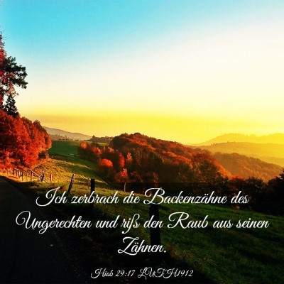 Picture 03 - Hiob 29:17 LUTH1912 - Ich zerbrach die Backenzähne des Ungerechten und - Bible Verse Picture