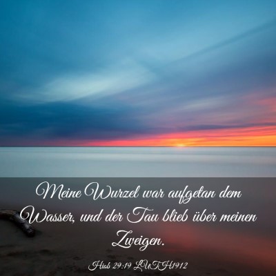 Picture 03 - Hiob 29:19 LUTH1912 - Meine Wurzel war aufgetan dem Wasser, und der Tau - Bible Verse Picture