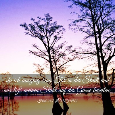 Picture 03 - Hiob 29:7 LUTH1912 - da ich ausging zum Tor in der Stadt und mir ließ - Bible Verse Picture