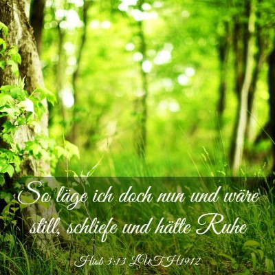 Picture 03 - Hiob 3:13 LUTH1912 - So läge ich doch nun und wäre still, schliefe - Bible Verse Picture