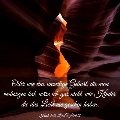 Picture 03 - Hiob 3:16 LUTH1912 - Oder wie eine unzeitige Geburt, die man verborgen - Bible Verse Picture
