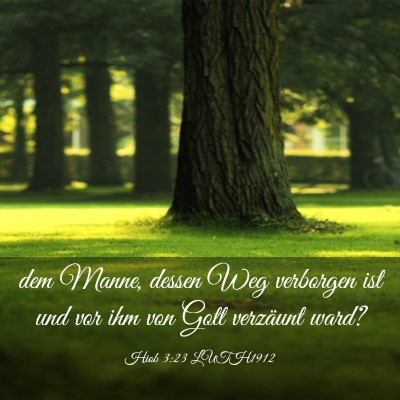 Picture 03 - Hiob 3:23 LUTH1912 - dem Manne, dessen Weg verborgen ist und vor ihm - Bible Verse Picture