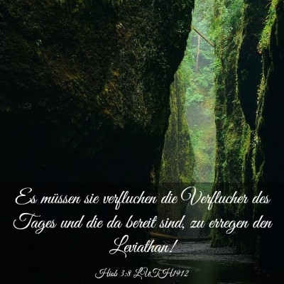 Picture 03 - Hiob 3:8 LUTH1912 - Es müssen sie verfluchen die Verflucher des - Bible Verse Picture