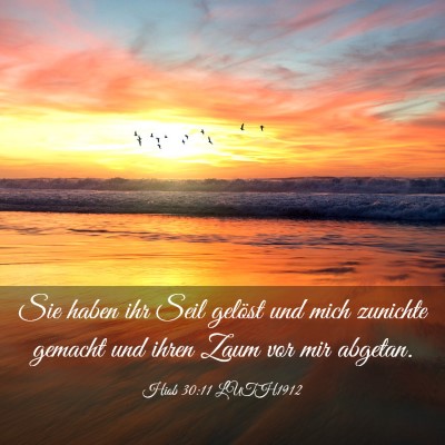 Picture 03 - Hiob 30:11 LUTH1912 - Sie haben ihr Seil gelöst und mich zunichte - Bible Verse Picture