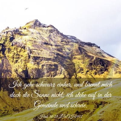 Picture 03 - Hiob 30:28 LUTH1912 - Ich gehe schwarz einher, und brennt mich doch die - Bible Verse Picture