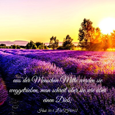 Picture 03 - Hiob 30:5 LUTH1912 - aus der Menschen Mitte werden sie weggetrieben, - Bible Verse Picture