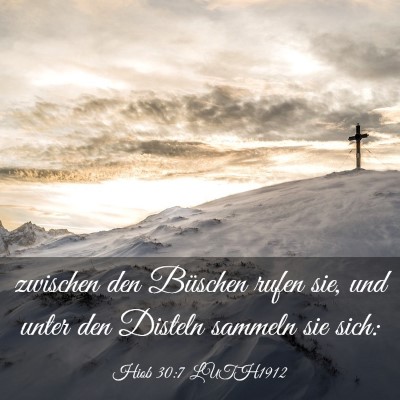 Picture 03 - Hiob 30:7 LUTH1912 - zwischen den Büschen rufen sie, und unter den - Bible Verse Picture