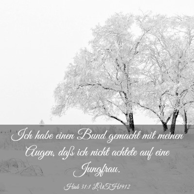 Picture 03 - Hiob 31:1 LUTH1912 - Ich habe einen Bund gemacht mit meinen Augen, - Bible Verse Picture
