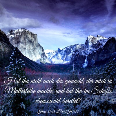 Picture 03 - Hiob 31:15 LUTH1912 - Hat ihn nicht auch der gemacht, der mich in - Bible Verse Picture