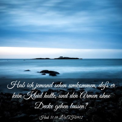 Picture 03 - Hiob 31:19 LUTH1912 - Hab ich jemand sehen umkommen, daß er kein Kleid - Bible Verse Picture