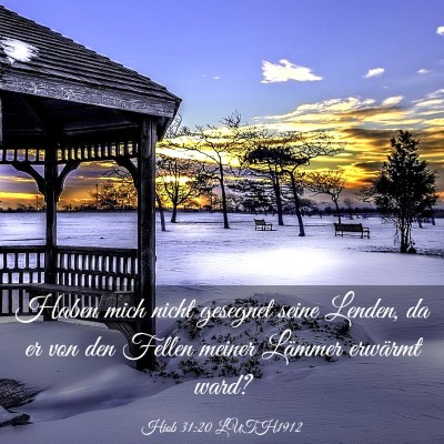 Picture 03 - Hiob 31:20 LUTH1912 - Haben mich nicht gesegnet seine Lenden, da er von - Bible Verse Picture