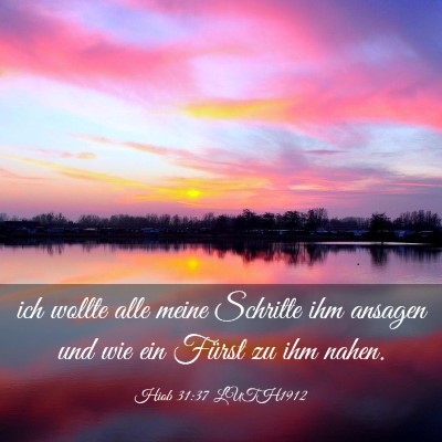 Picture 03 - Hiob 31:37 LUTH1912 - ich wollte alle meine Schritte ihm ansagen und - Bible Verse Picture