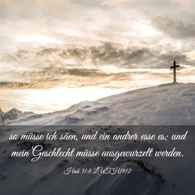 Picture 03 - Hiob 31:8 LUTH1912 - so müsse ich säen, und ein andrer esse es; und - Bible Verse Picture