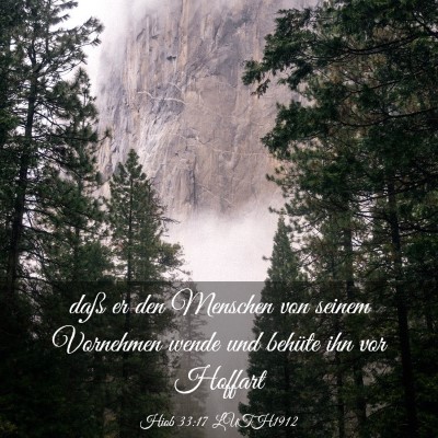 Picture 03 - Hiob 33:17 LUTH1912 - daß er den Menschen von seinem Vornehmen wende - Bible Verse Picture